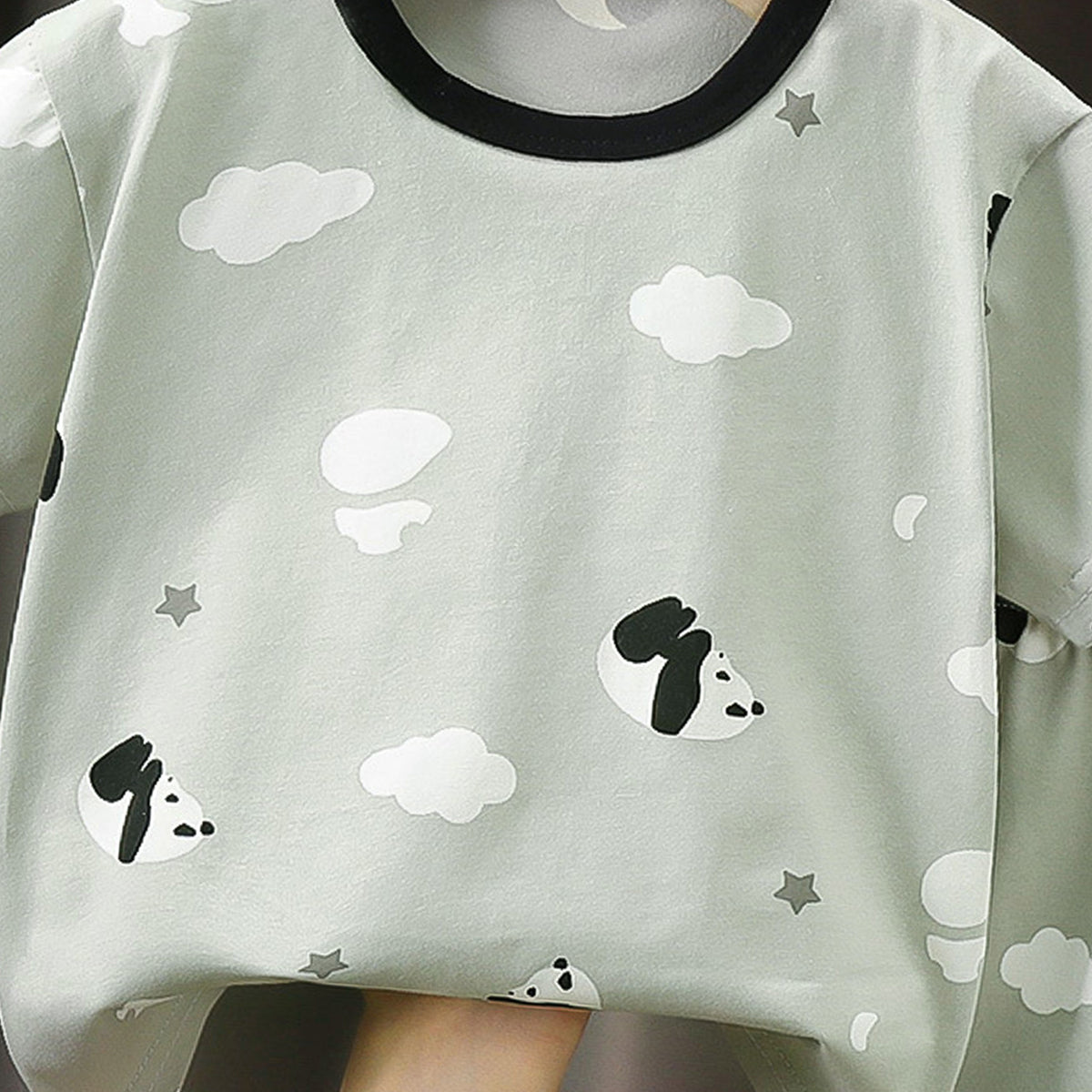 Boys Printed Short Sleeves Pure Cotton T-shirt With Shorts