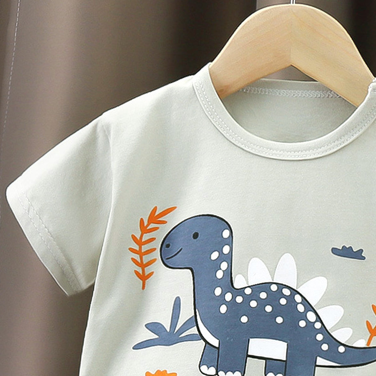 Boys Printed Short Sleeves Pure Cotton T-shirt With Shorts