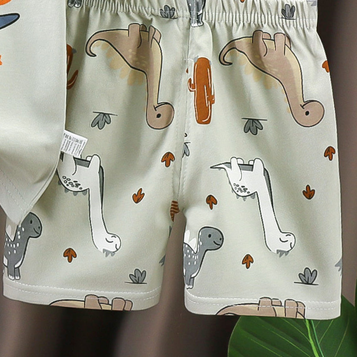 Boys Printed Short Sleeves Pure Cotton T-shirt With Shorts