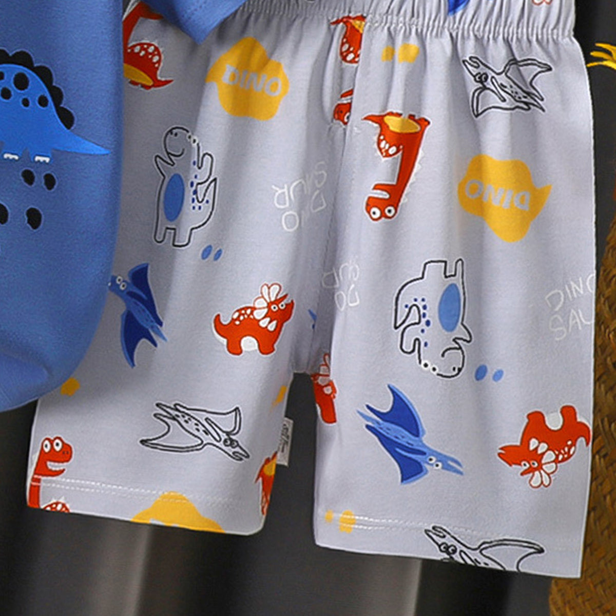 Boys Printed Short Sleeves Pure Cotton T-shirt with Shorts