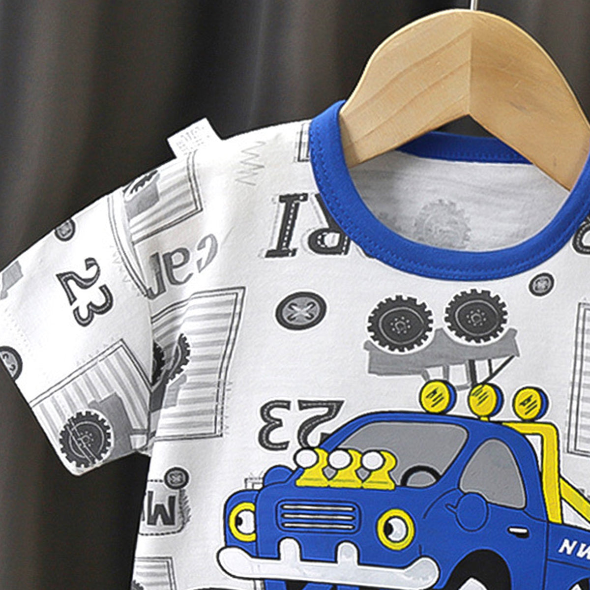 Boys Printed Short Sleeves Pure Cotton T-shirt With Shorts