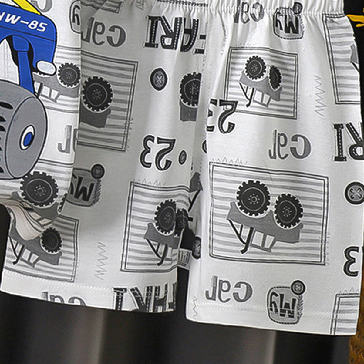 Boys Printed Short Sleeves Pure Cotton T-shirt With Shorts