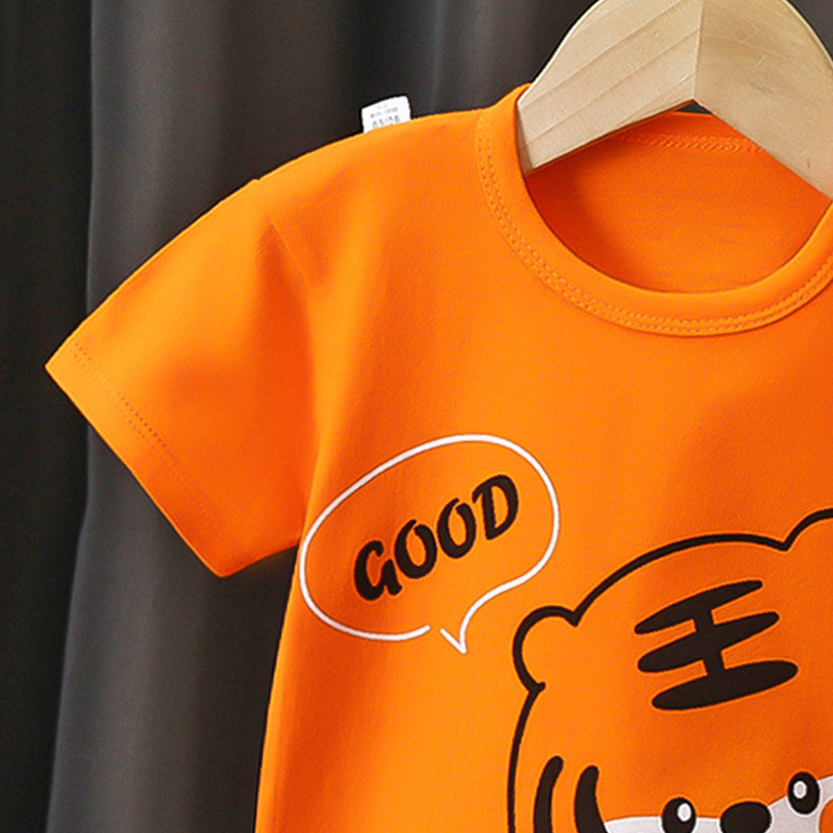Boys Printed Short Sleeves Pure Cotton T-shirt With Shorts