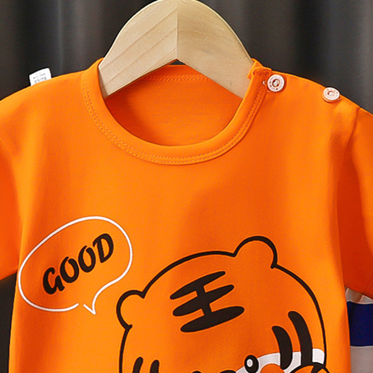 Boys Printed Short Sleeves Pure Cotton T-shirt With Shorts