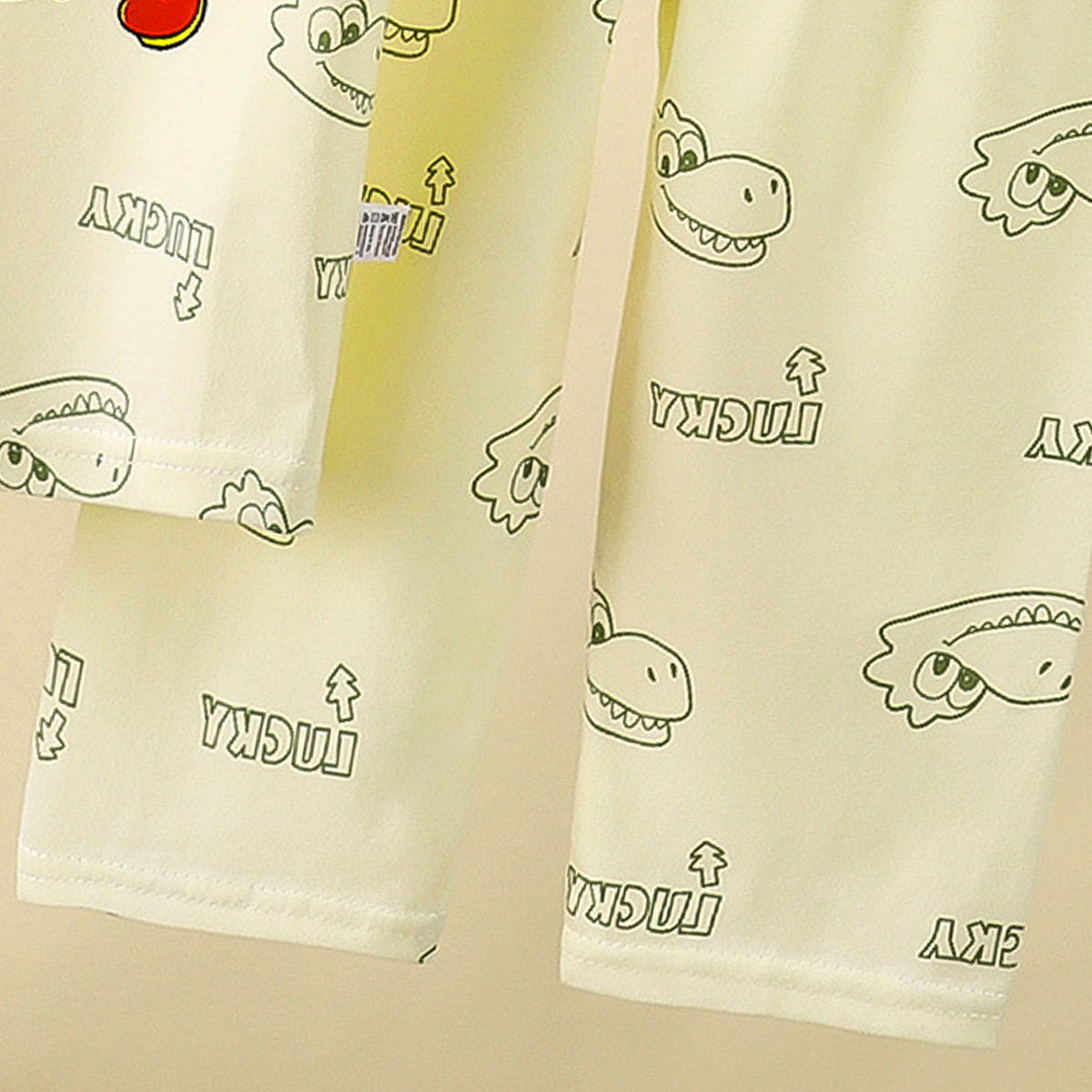 Boys Printed Short Sleeves Pure Cotton T-shirt With Trousers