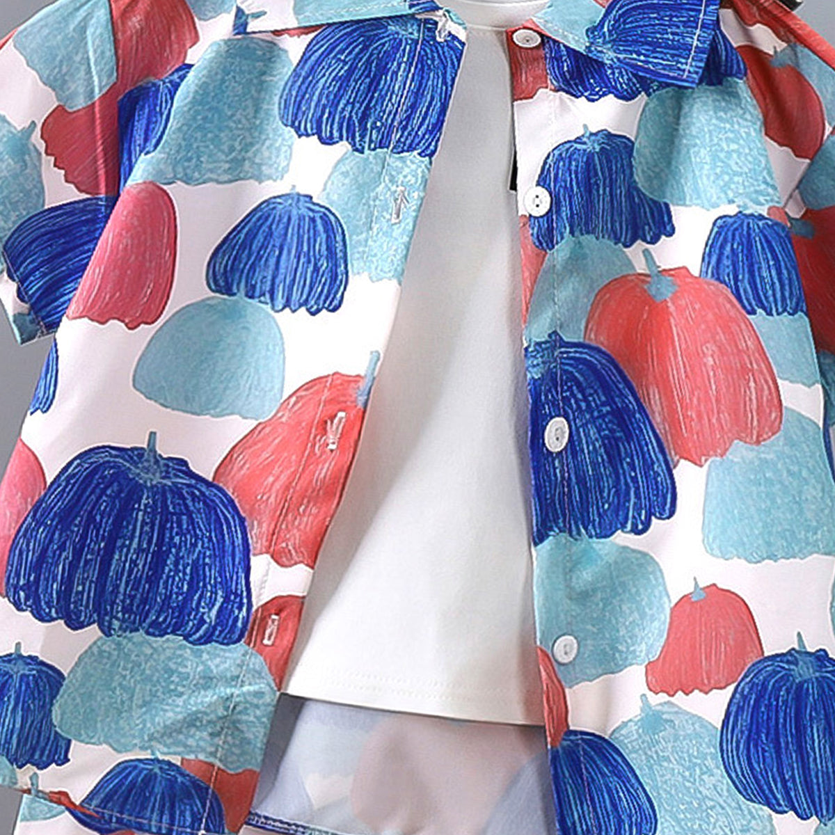 Boys Printed Short Sleeves Pure Cotton Shirt And T-shirt With Shorts
