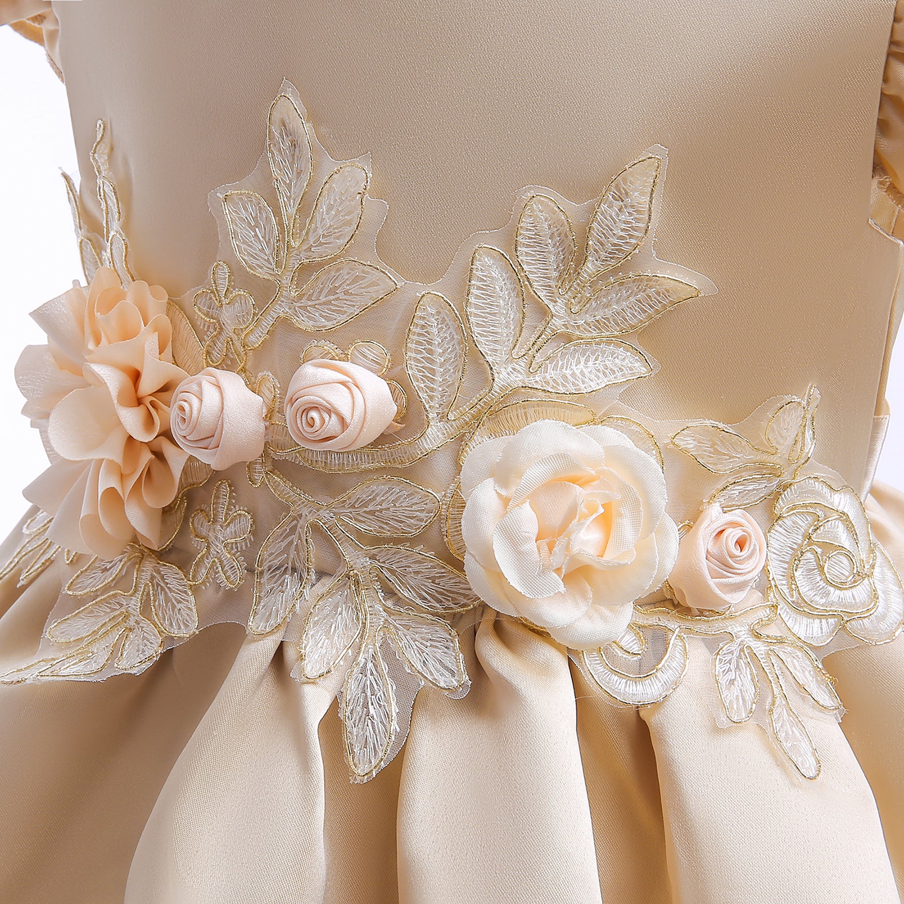 Girls Champagne Floral Embellished Flutter Sleeves Balloon Dress
