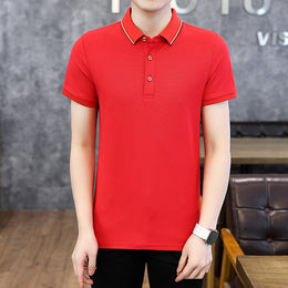 Men Solid Polo Collar T-shirt