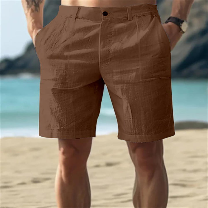 Men Regular Fit High-Rise Shorts