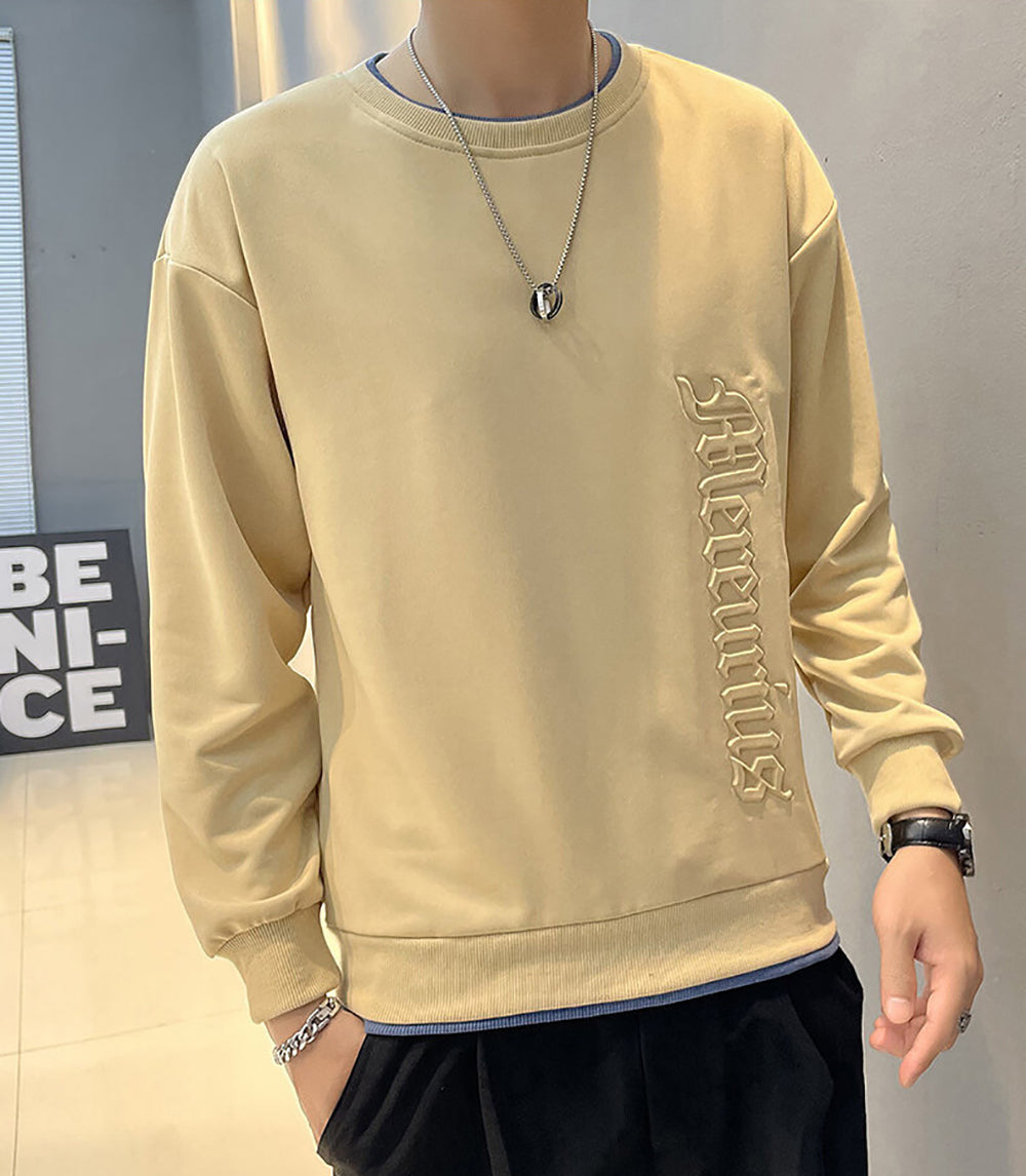Men Embroidered Pullover Sweatshirt