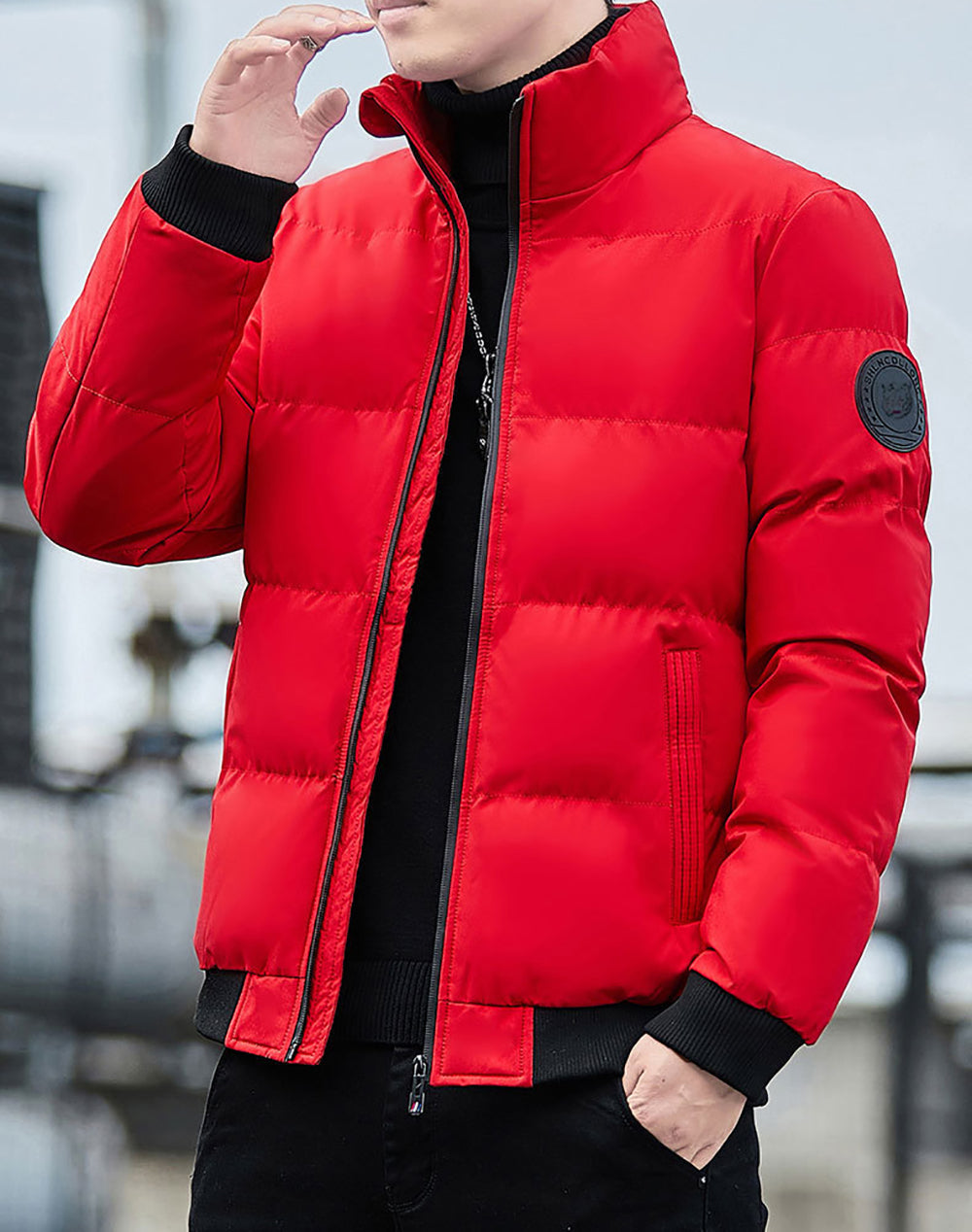 Men Mock Collar Puffer Jacket