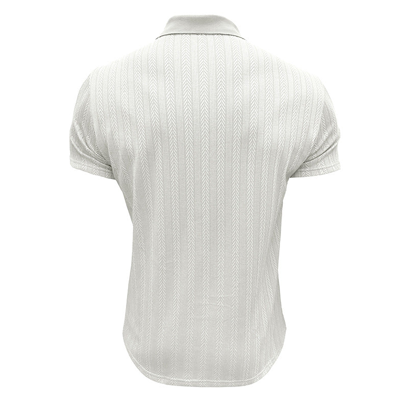 Regular Fit Polo Collar Tshirt
