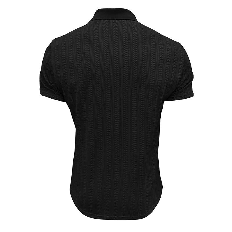 Regular Fit Polo Collar Tshirt
