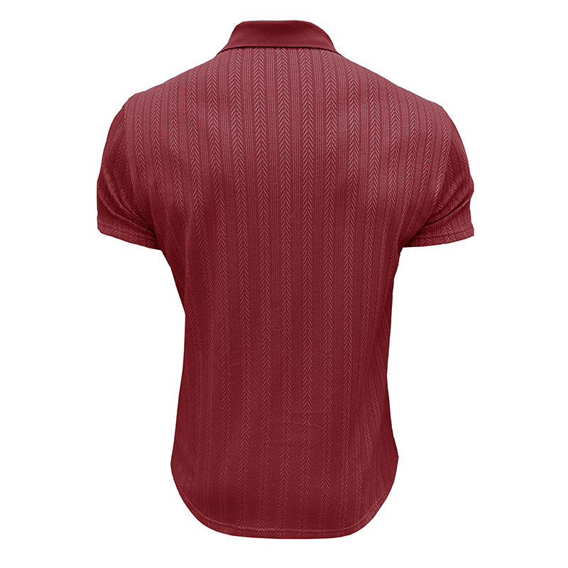 Regular Fit Polo Collar Tshirt