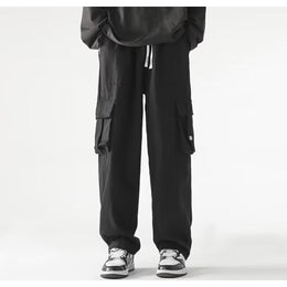 Men Regular Fit Pleated Cargos Trousers