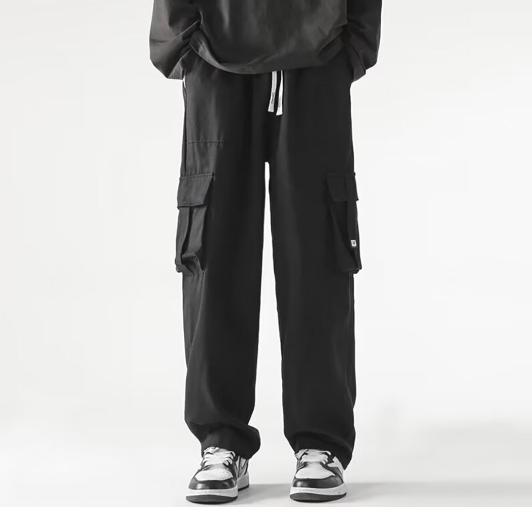 Men Regular Fit Pleated Cargos Trousers