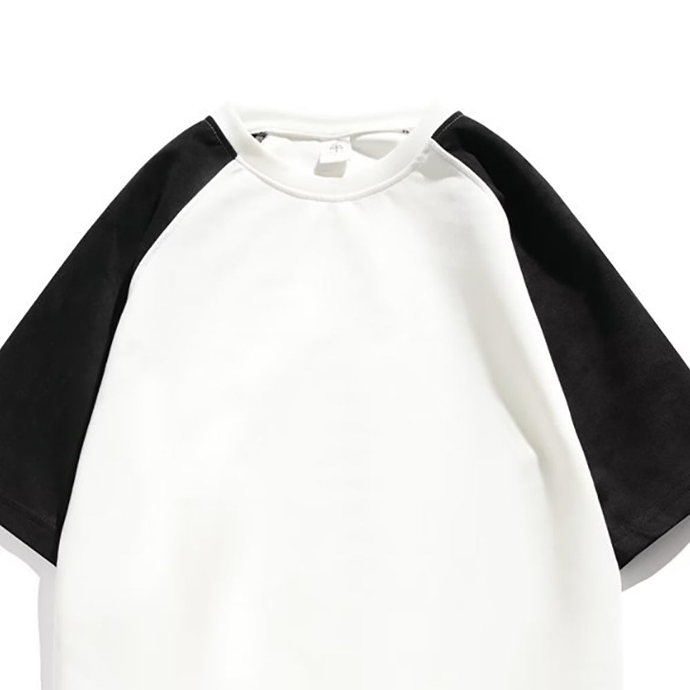 Men Colourblocked Round Neck Regular Fit T-shirt
