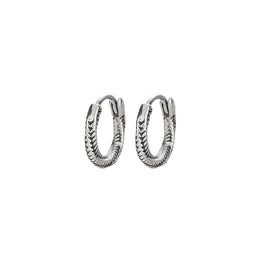 Stainless Steel Silver-Plated Circular Shaped Hoop Earrings