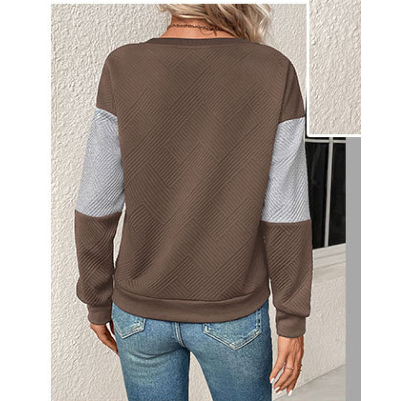 Brown Colourblocked Round Neck Long Sleeves Sweatshirt