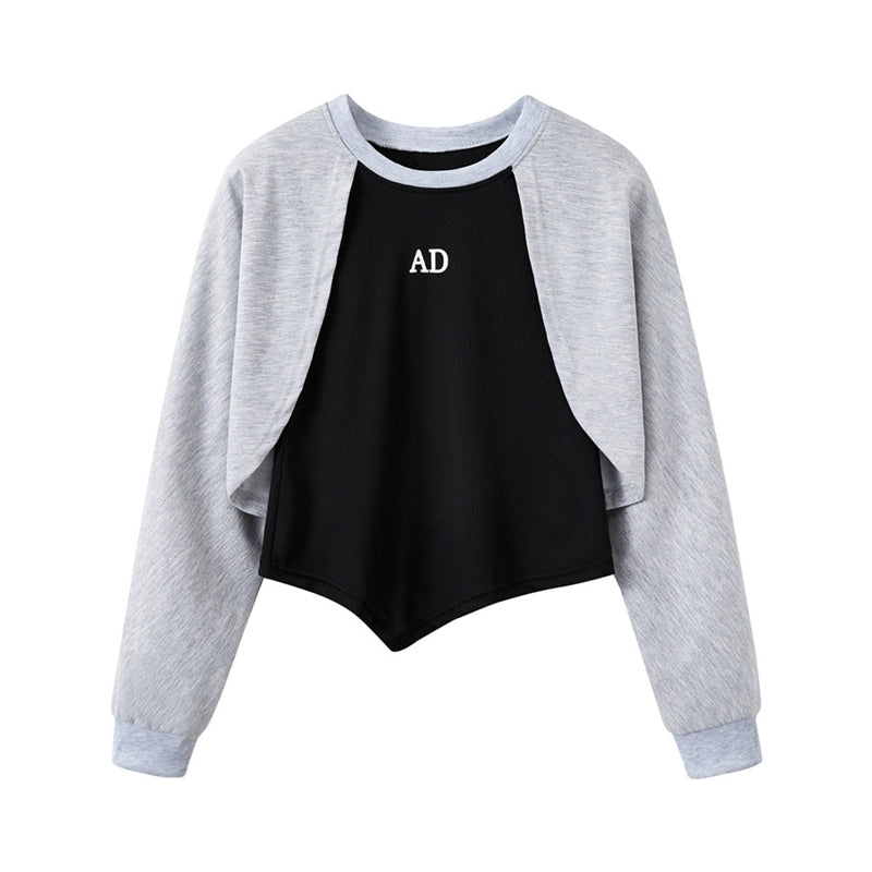 Grey Colourblocked Regular Top with Typography