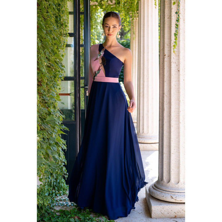 Navy Blue & Pink Off-Shoulder Maxi Dress