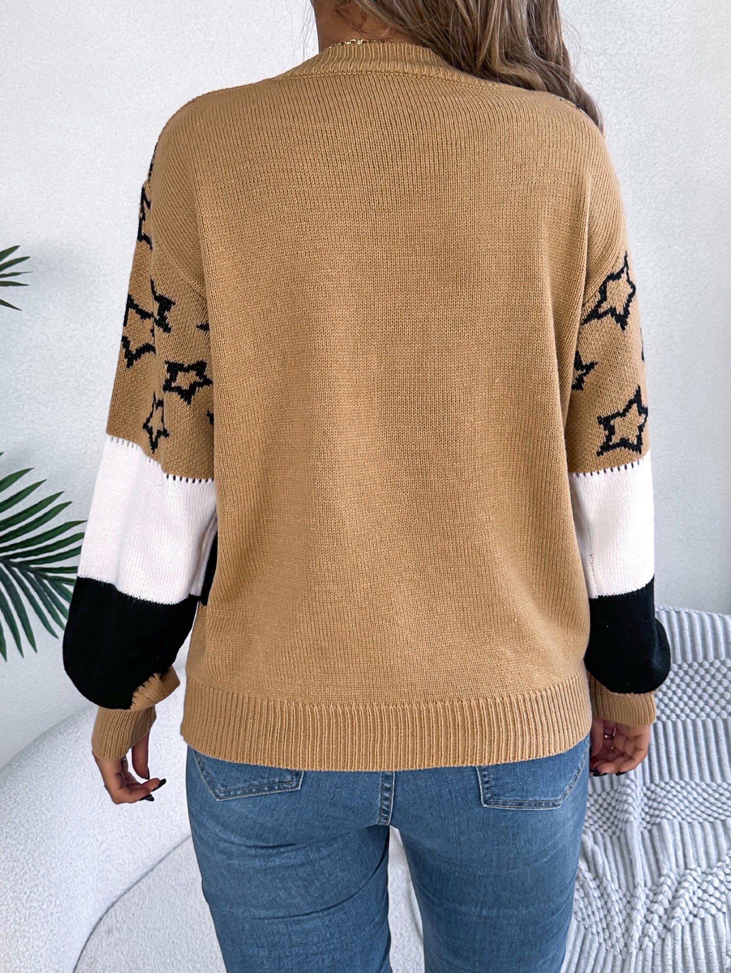 Women Colourblocked Pullover Sweater