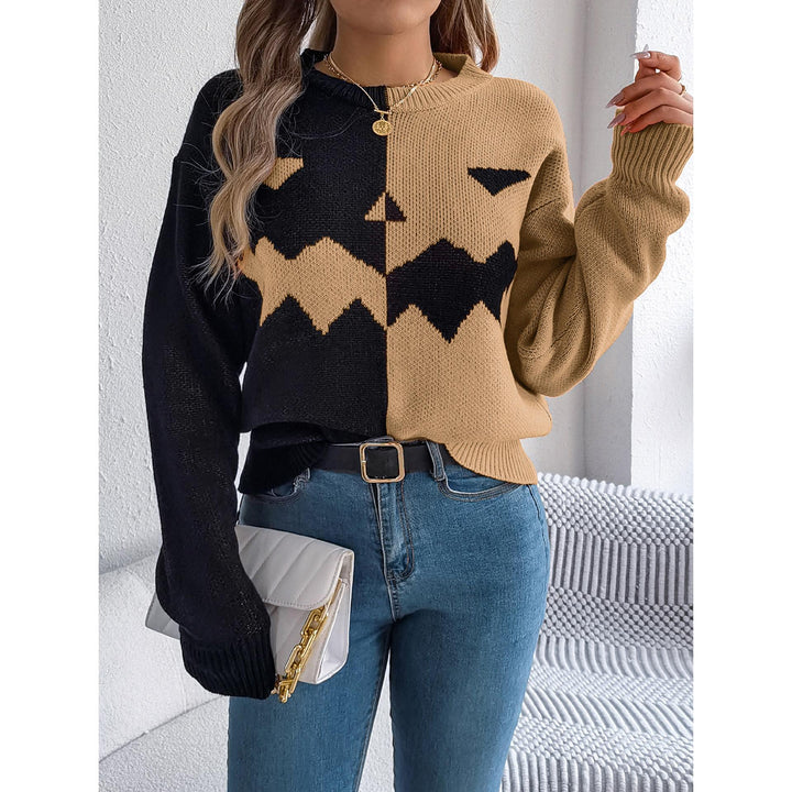 Women Colourblocked Round Neck Pullover