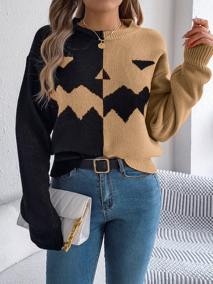 Women Colourblocked Round Neck Pullover