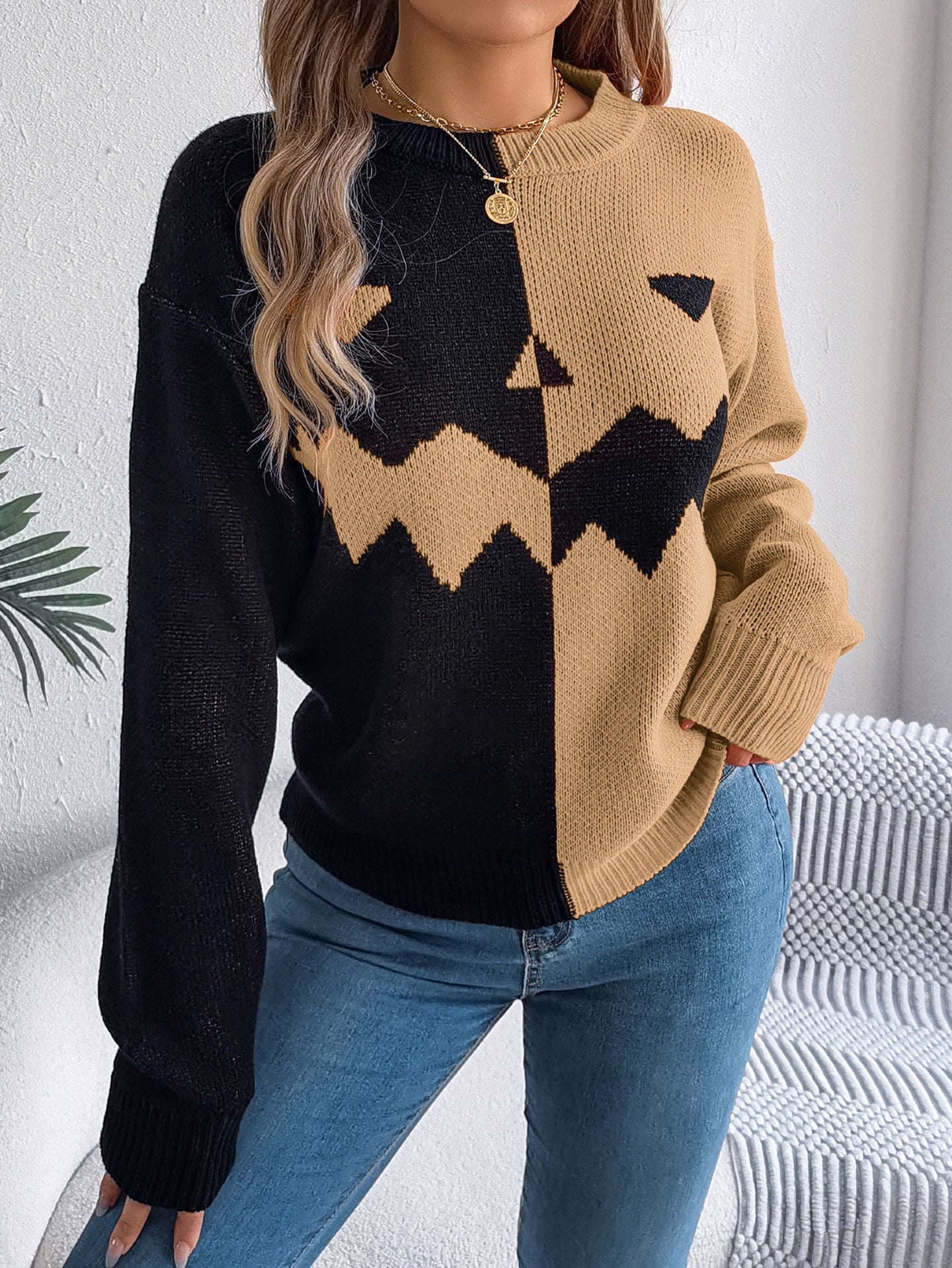 Women Colourblocked Round Neck Pullover