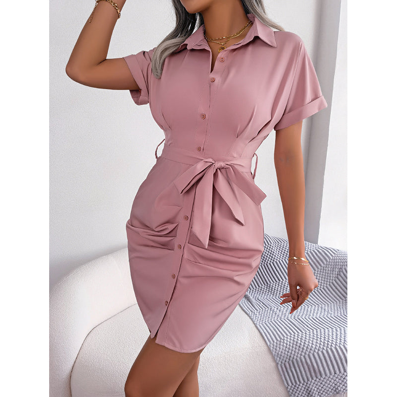 Shirt Collar Extended Sleeves Sheath Dress