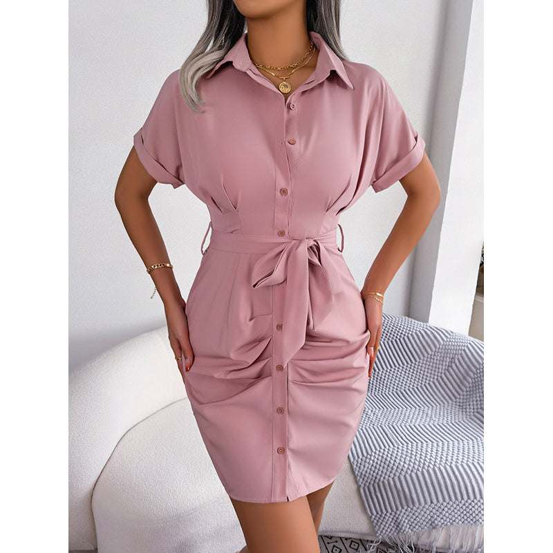 Shirt Collar Extended Sleeves Sheath Dress