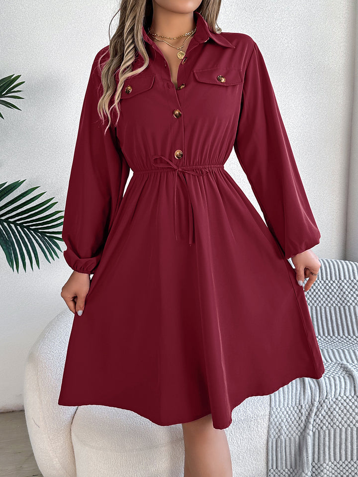 Cuffed Sleeves Fit & Flare Dress