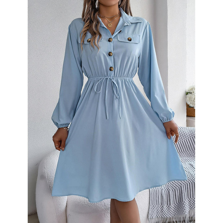 Solid Shirt Collar Fit & Flare Dress