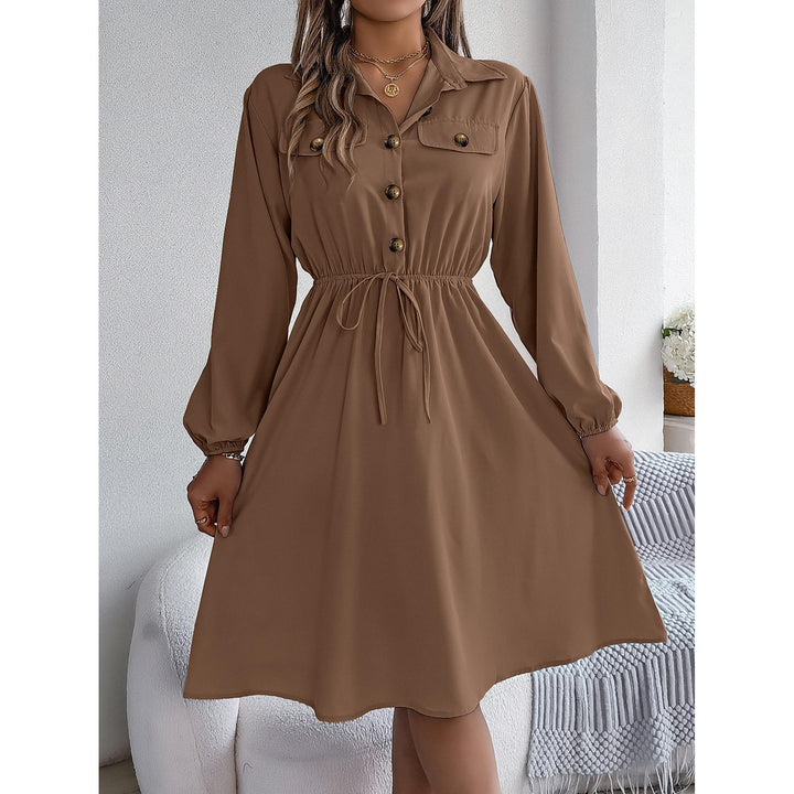 Solid Shirt Collar Fit & Flare Dress