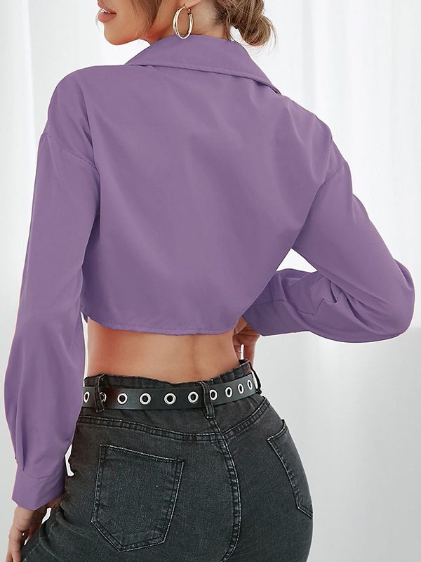 Croped Shirt Style Top