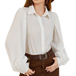 Puff Sleeves Shirt Style Top