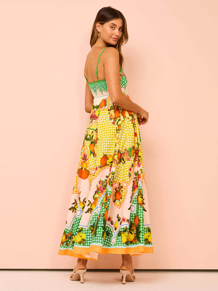 Floral Printed Fit and Flare Maxi Dress