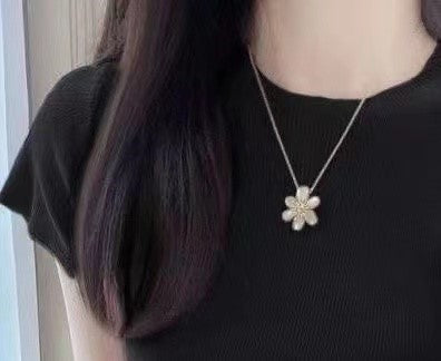 Women Solid Round Neck Regular Top