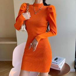 Women Bodycon Dress