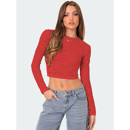 Women Self Design Sheer Round Neck Polyester Top