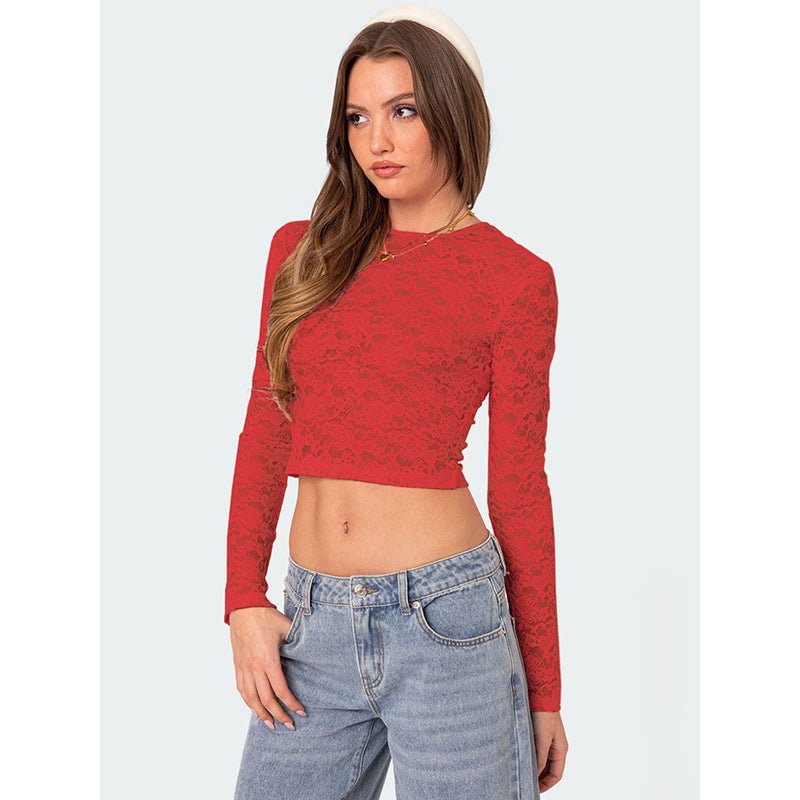 Women Self Design Sheer Round Neck Polyester Top