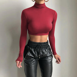 Women Solid High Neck Top
