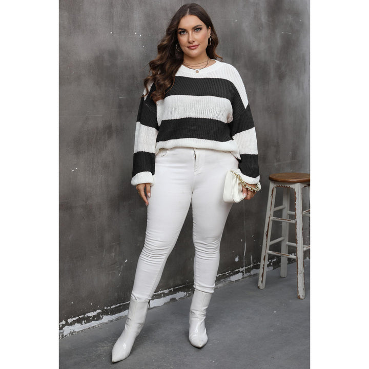 Women Cable Knit Colourblocked Pullover