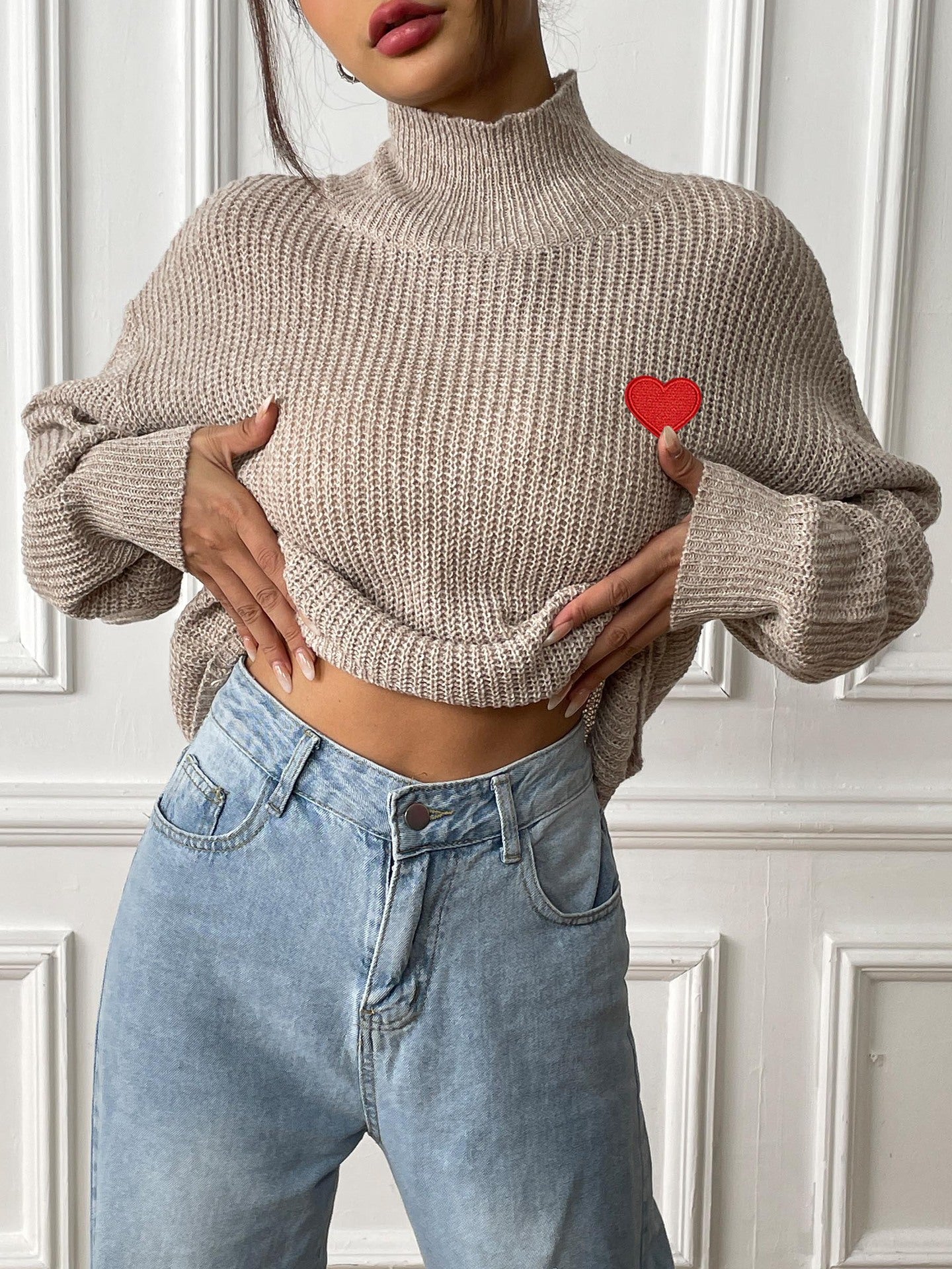 Women Turtle Neck Ribbed Pullover Sweaters