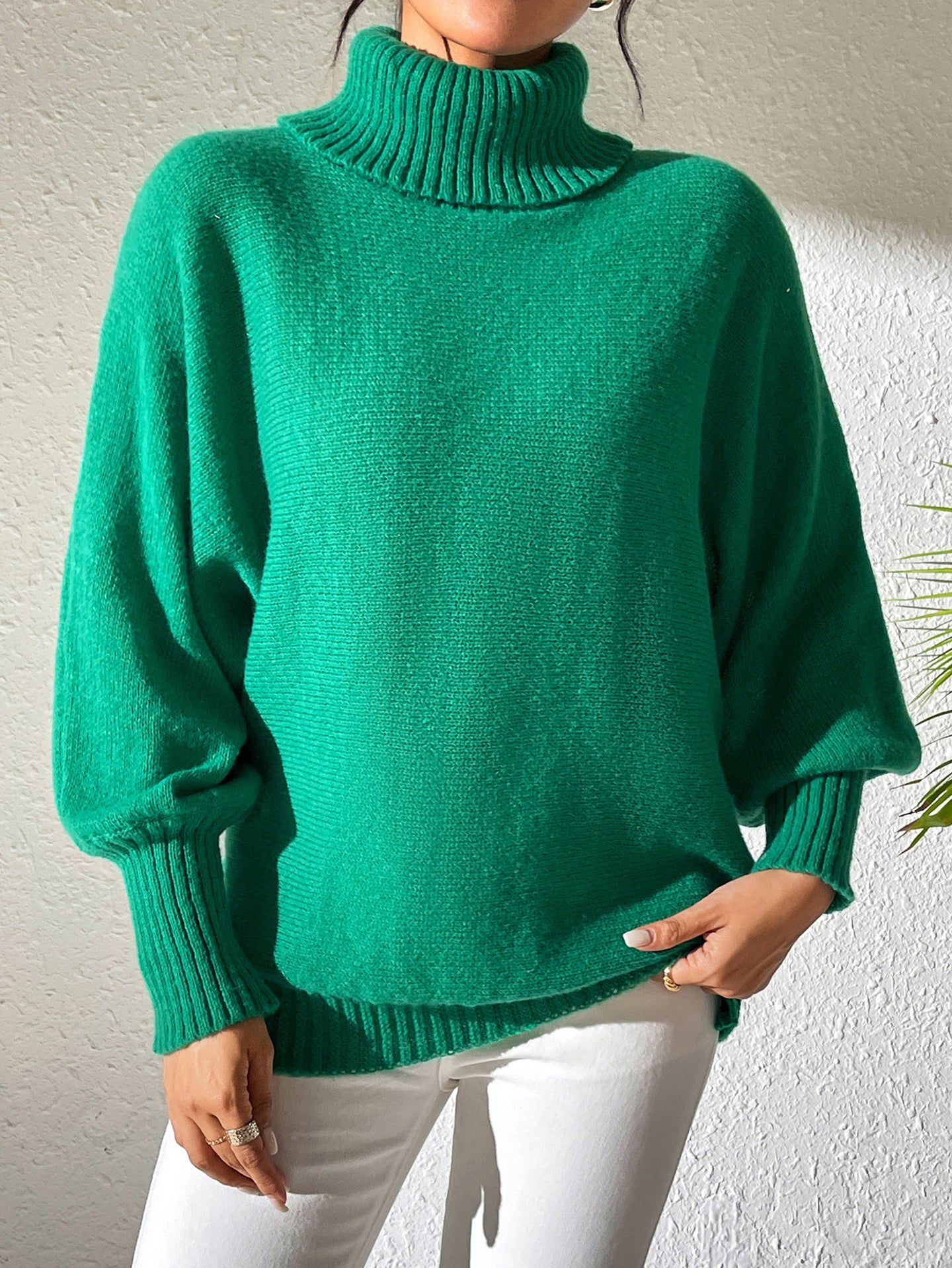 Women Turtle Neck Long Sleeves Pullover