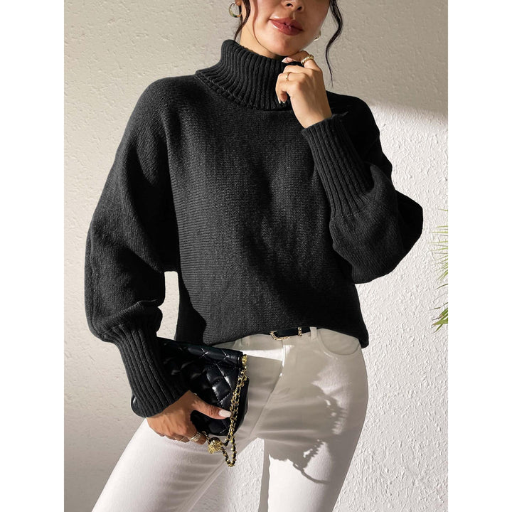 Women Turtle Neck Pullover