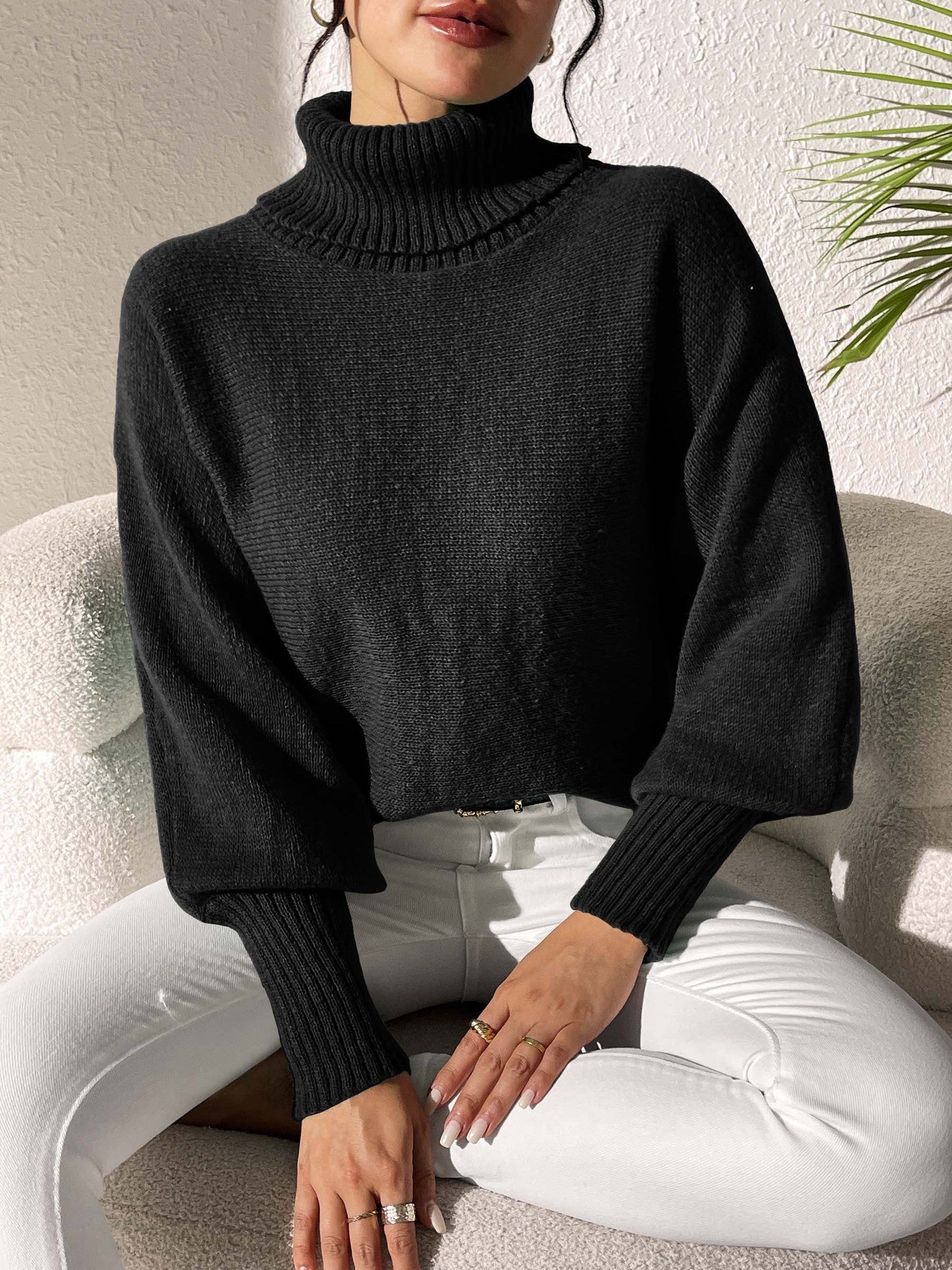 Women Turtle Neck Pullover