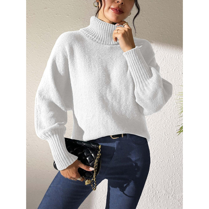 Women Turtle Neck Long Sleeves Pullover Sweaters