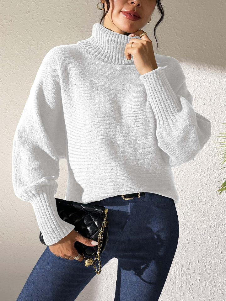 Women Turtle Neck Long Sleeves Pullover Sweaters
