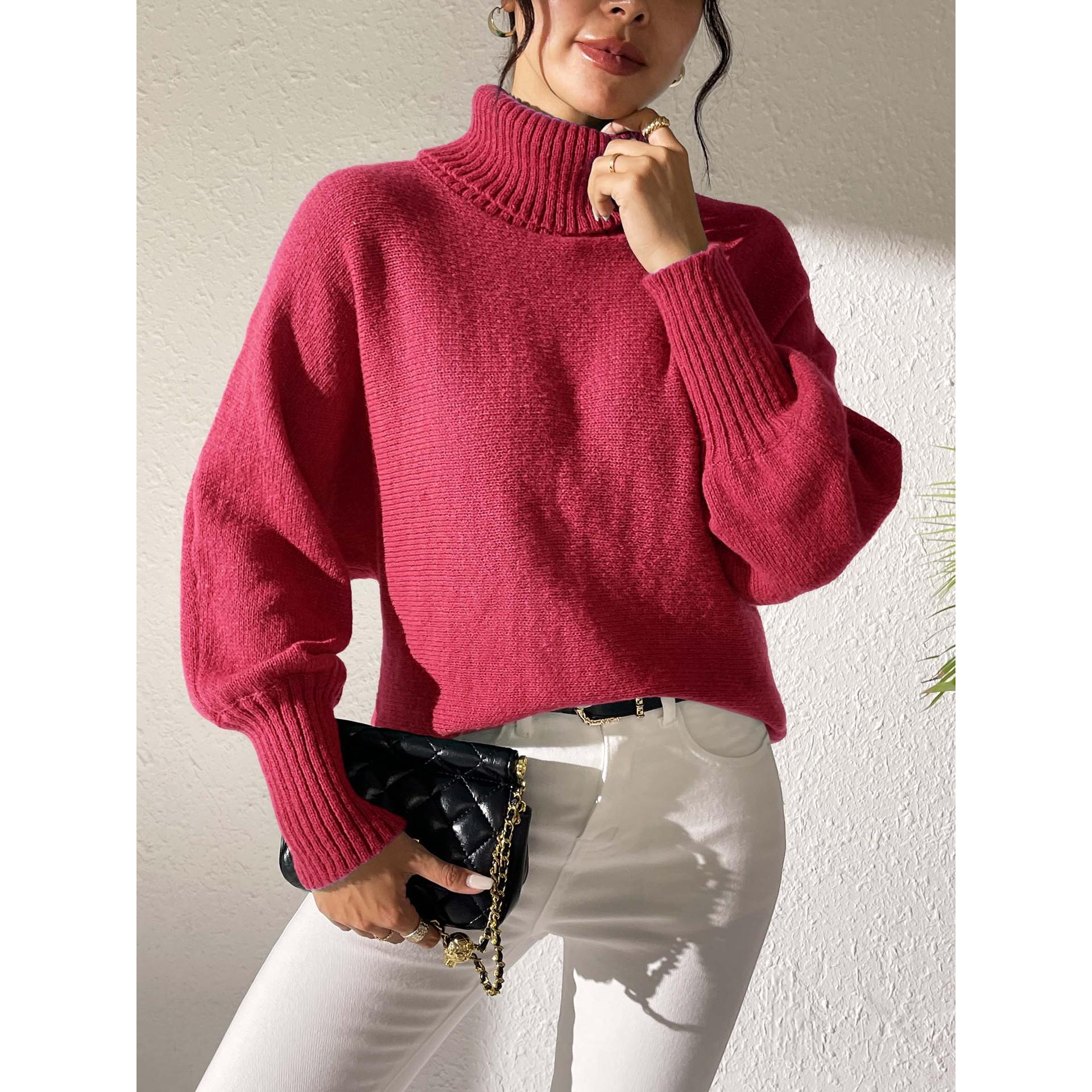 Women Turtle Neck Long Sleeves Pullover Sweaters